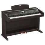 Yamaha Clavinova CVP-503